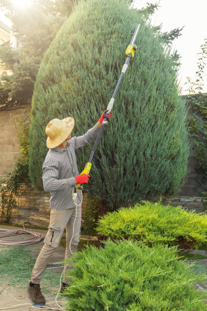 Best Leaf Removal  in Powell, TN